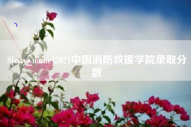 桦甸2021中国消防救援学院录取分数