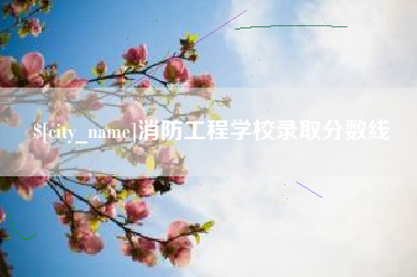 桦甸消防工程学校录取分数线