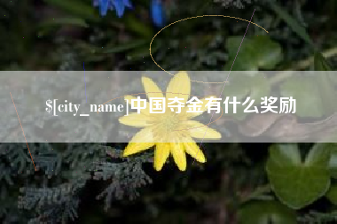 桦甸中国夺金有什么奖励