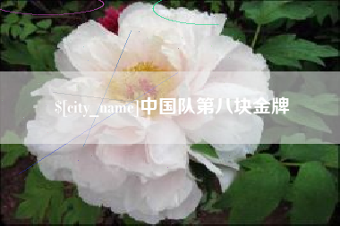 桦甸中国队第八块金牌