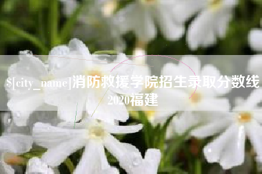 桦甸消防救援学院招生录取分数线2020福建