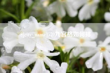 桦甸579九宫格如何排