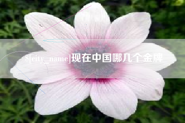 桦甸现在中国哪几个金牌