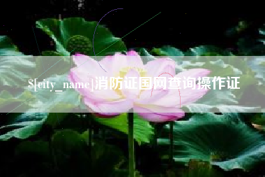 桦甸消防证国网查询操作证