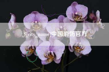 桦甸中国消防官方