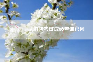 桦甸消防考试成绩查询官网