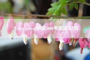 桦甸中国5000米国家记录