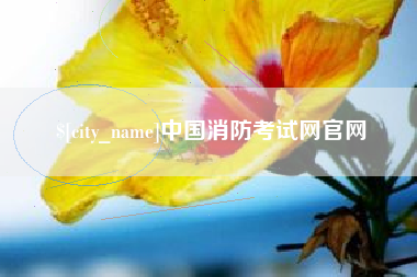 桦甸中国消防考试网官网