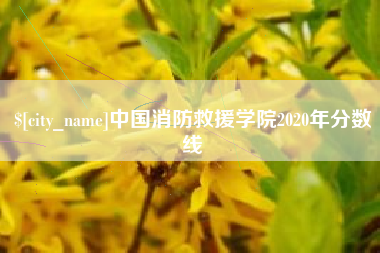 桦甸中国消防救援学院2020年分数线