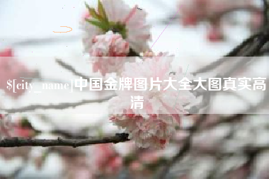 桦甸中国金牌图片大全大图真实高清