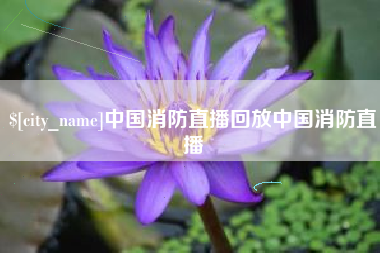 桦甸中国消防直播回放中国消防直播