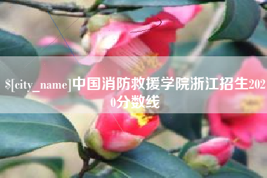 桦甸中国消防救援学院浙江招生2020分数线