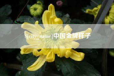 桦甸中国金牌样子