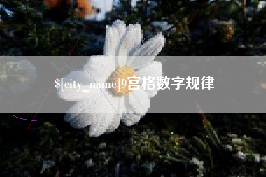 桦甸9宫格数字规律