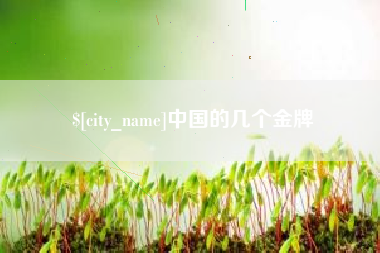 桦甸中国的几个金牌