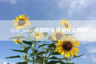 桦甸中国的金牌是什么样的