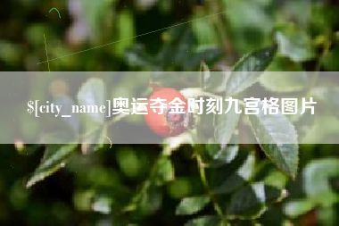 桦甸奥运夺金时刻九宫格图片