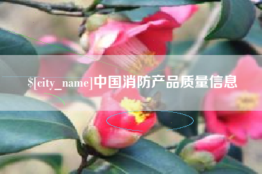 桦甸中国消防产品质量信息