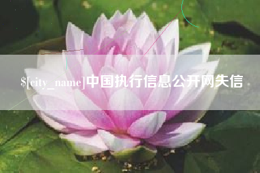桦甸中国执行信息公开网失信