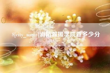 桦甸消防救援学院要多少分