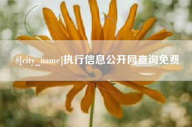 桦甸执行信息公开网查询免费