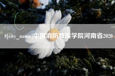 桦甸中国消防救援学院河南省2020